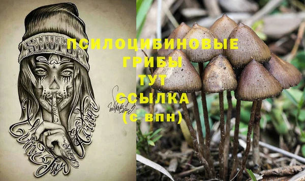марки nbome Каменка
