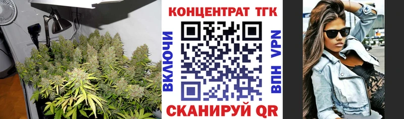 ТГК Wax  Вельск 