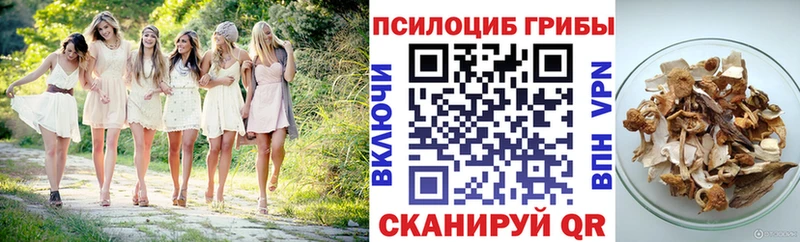 купить наркоту  Вельск  Псилоцибиновые грибы прущие грибы 
